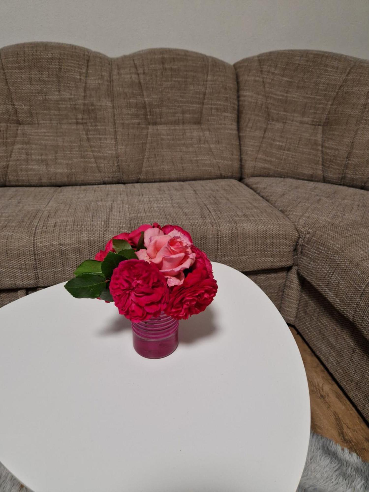 Apartma-Sobe Lejla Випава Екстериор снимка